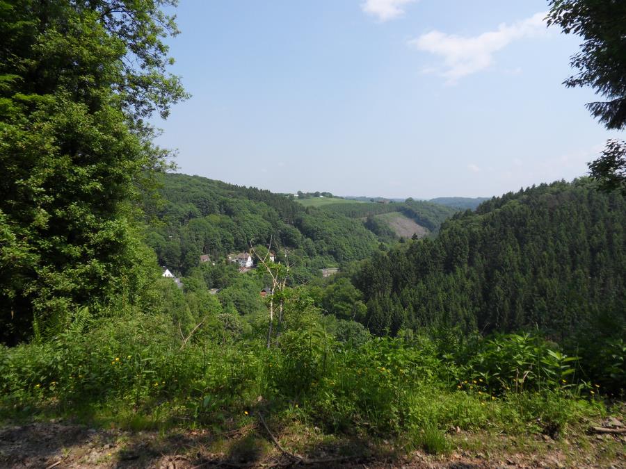 SDC13820