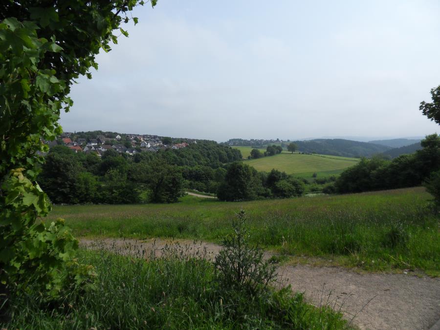 SDC13822