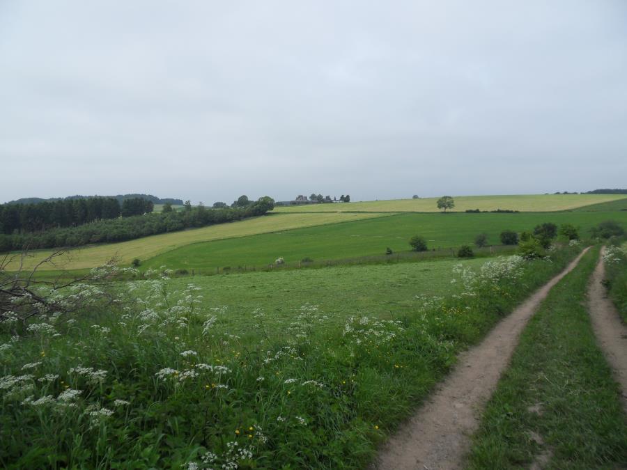 SDC13864