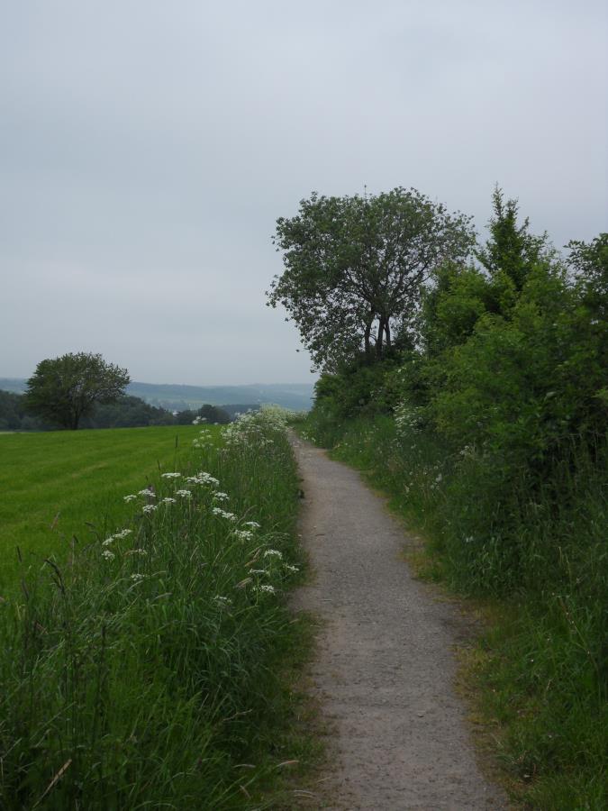 SDC13876