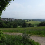 SDC13822