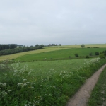 SDC13864