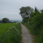 SDC13876