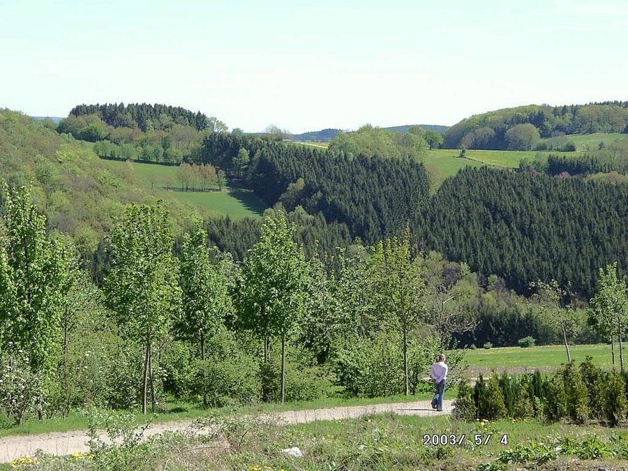 a11-epsch-wahnsch-002