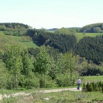 a11-epsch-wahnsch-002