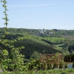 a11-epsch-wahnsch-003