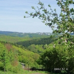 a11-epsch-wahnsch-005