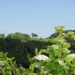 a11-epsch-wahnsch-006