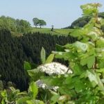 a11-epsch-wahnsch-007