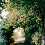 a11-epsch-wahnsch-008