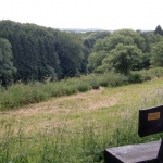 a14-brauck-langsch-008