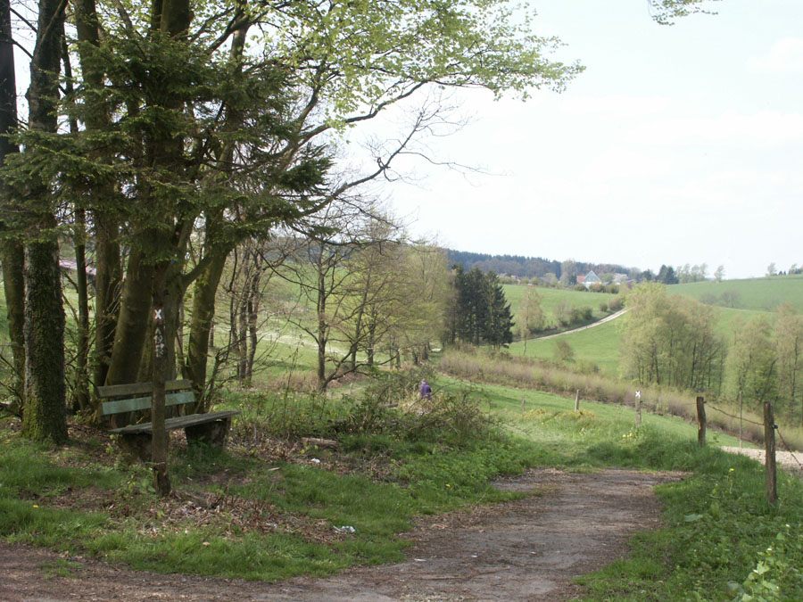 a19-015