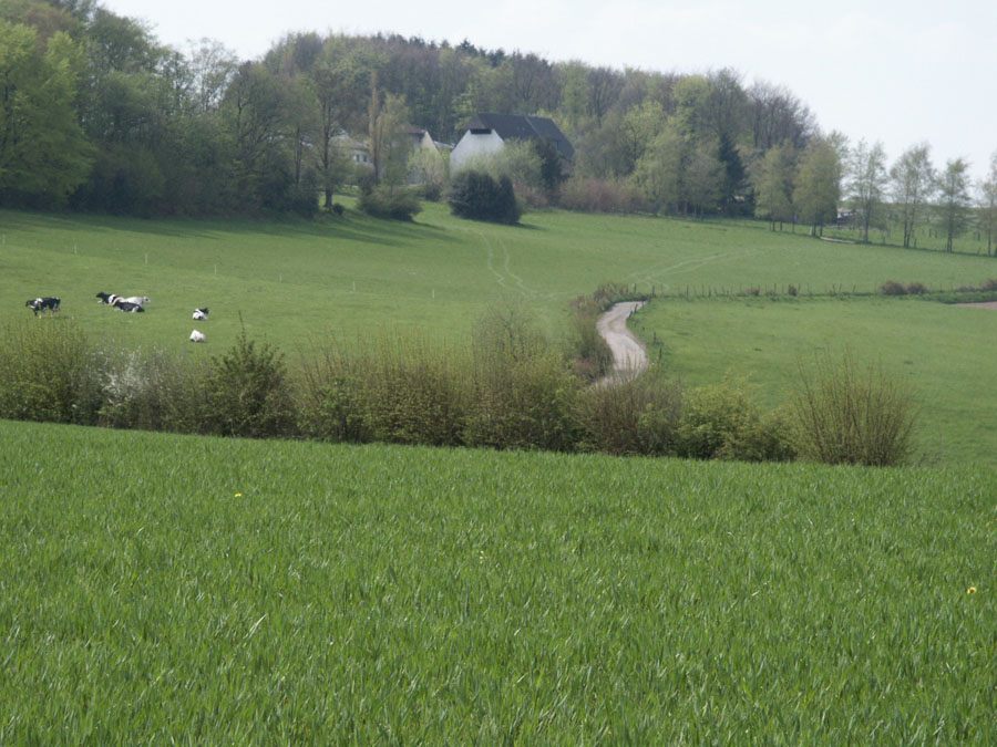 a19-019