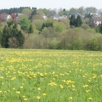 a19-018