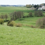 a19-022