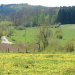 a19-023