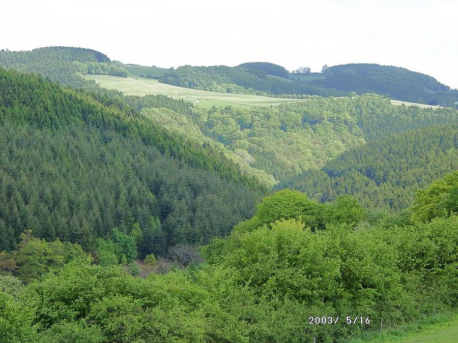 a8-zurst-delle-006
