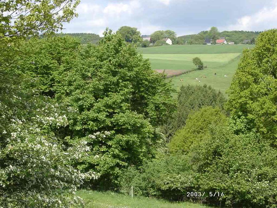 a8-zurst-delle-008