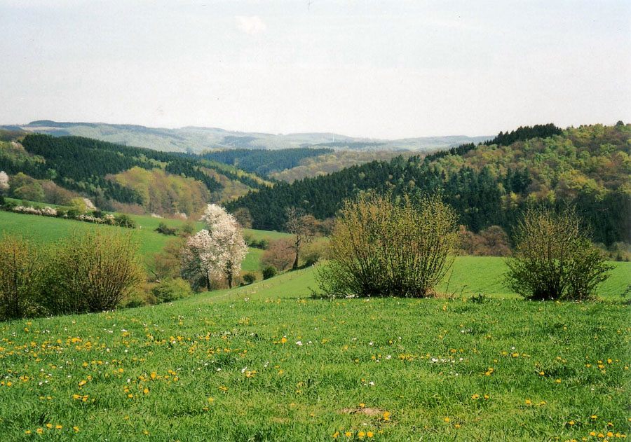 a8-zurst-delle-011
