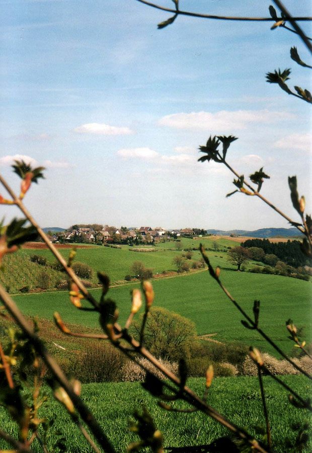 a8-zurst-delle-012