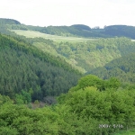 a8-zurst-delle-006