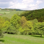 a8-zurst-delle-007