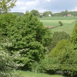 a8-zurst-delle-008
