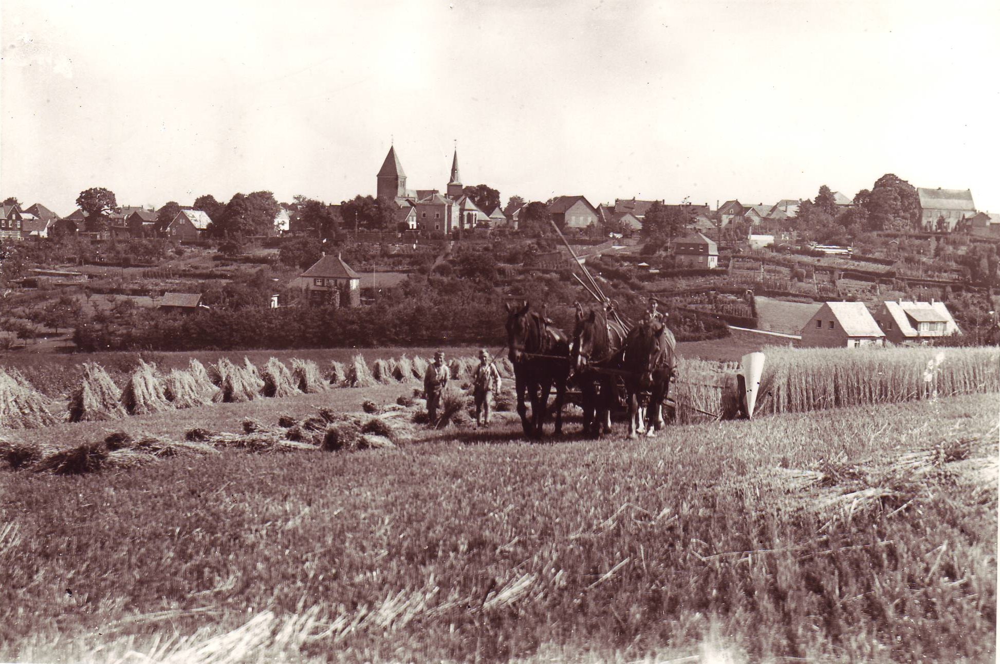 Ernte auf der Haard 1928