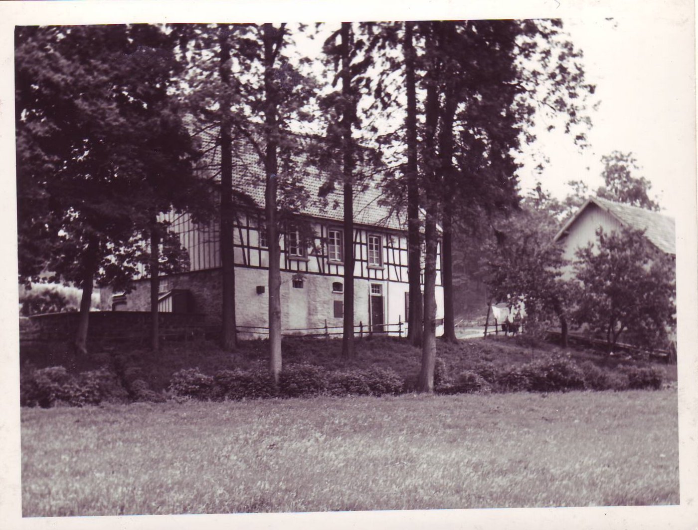 Hof Wittenstein in der Saale 1952