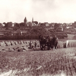 Ernte auf der Haard 1928
