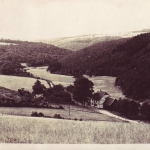Steinbachtal 1928