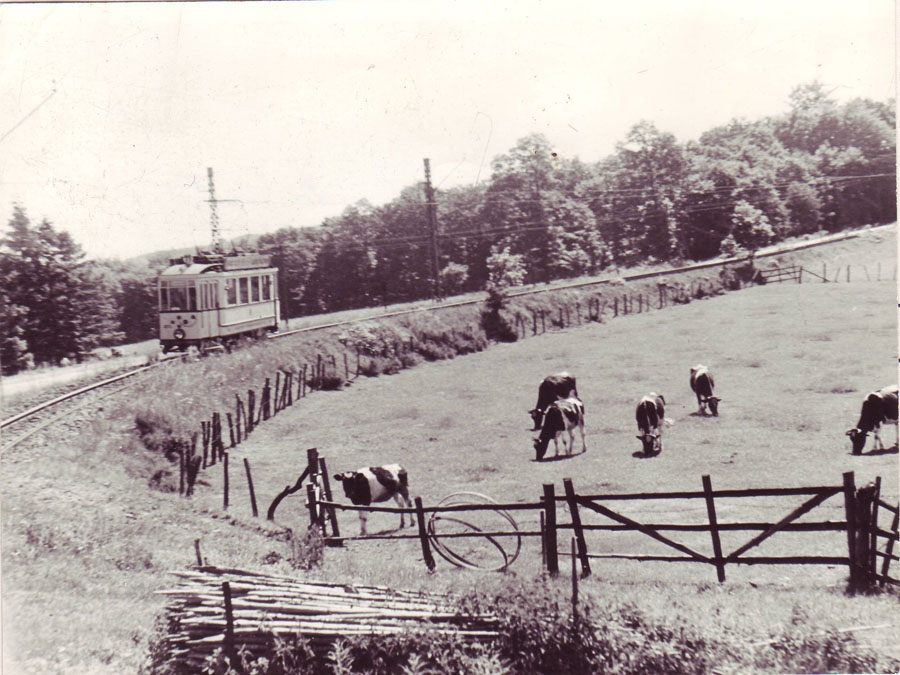 strassenbahn-steherberg