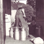 Verladen der Milch II