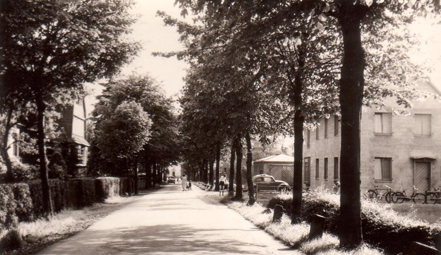epscheider-dr-harke
