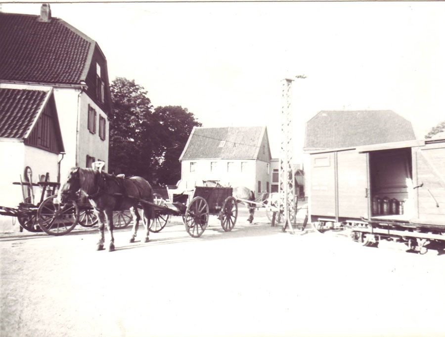 pferdewagen-am-bahnhof