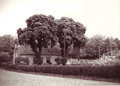 schule-am-stoecken-um-1950