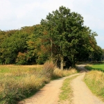 jakobuswg-022