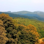 jakobuswg-026