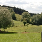jakobuswg-067