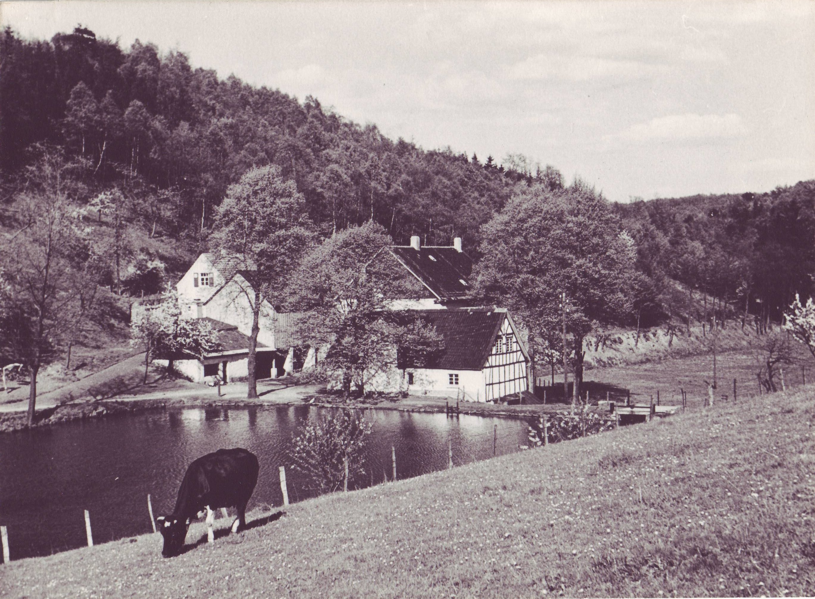 Epscheider Mühle um 1940 von Gottfried Berghaus