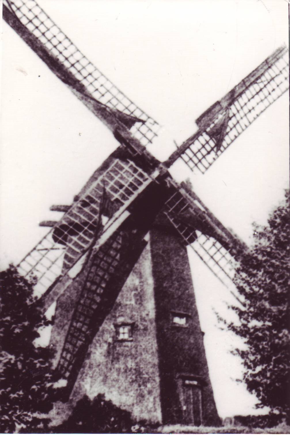Windmühle von Otto Wippermann