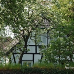 ambollwerk_01