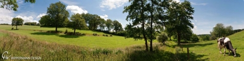 altenbreckerfeld