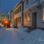 br-winter-show-006