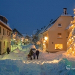 br-winter-show-008