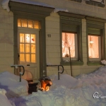 br-winter-show-011