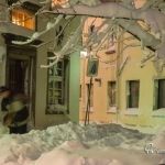 br-winter-show-014