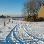 br-winter-show-020