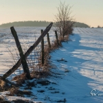 br-winter-show-021