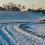 br-winter-show-022